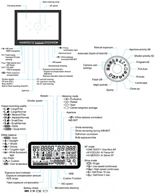 Image of the Rumored Canon 40D’s screens