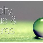 Humidity, Fungus & Cameras. How to care for your camera equipment in high humidity conditions