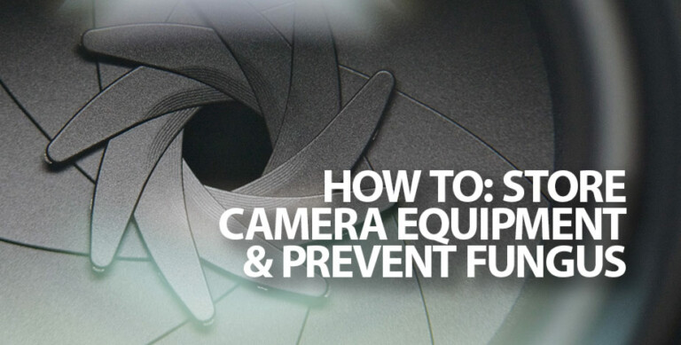 How to store camera equipment so that they are not affected by fungal growth on the lenses