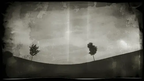 Photograph of two trees on a ridge taken with a pin hole camera