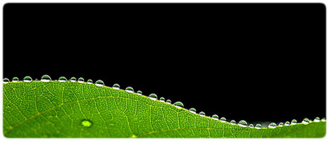 Moisture in photographic equipment can cause fungus to grow