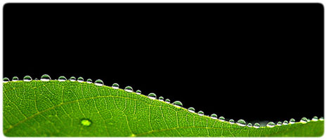 Moisture in photographic equipment can cause lens fungus to grow