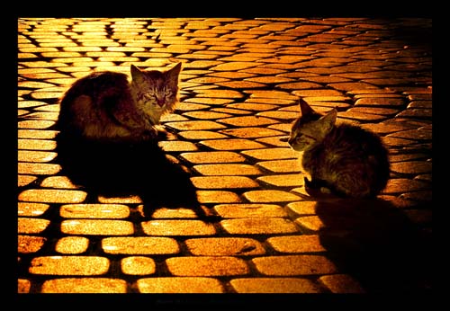 More_Or_Less____HomeLess_by_gilad More_Or_Less____HomeLess_by_gilad