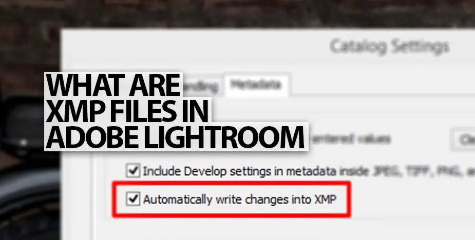 What are XMP files in Adobe Lightroom