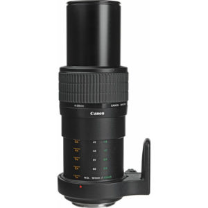 Canon MP-E 65mm lens extended to 5x magnification. One of the best macro lenses available.