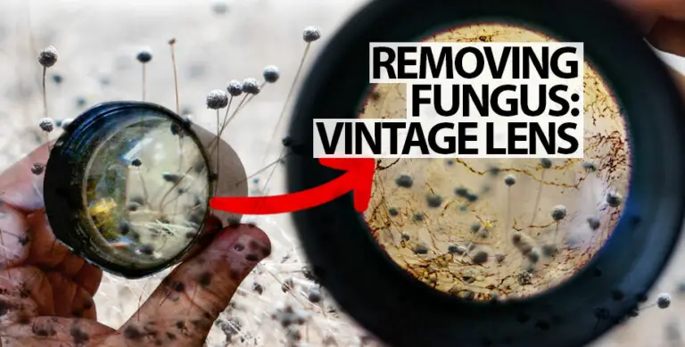 Cleaning a Vintage Fungus Infested Lens
