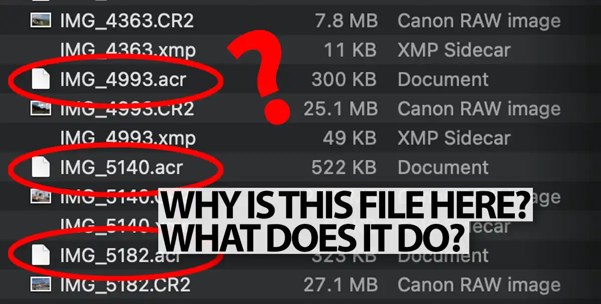 what-is-the-acr-file-format-beyond-photo-tips
